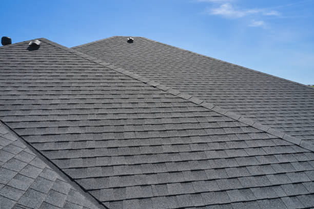 Best Roof Coating and Sealing  in Rio Rico, AZ